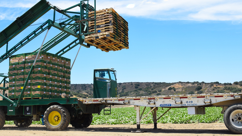 soluzioni per l'industria alimentare