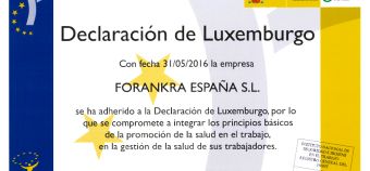 Dichiarazione di Lussemburgo