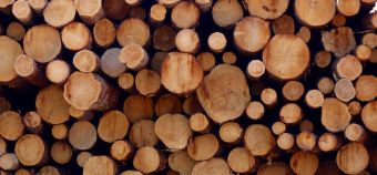 Industria del legno